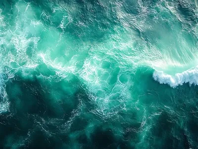 Haili f'Jum l-Oċean Dinji fl-azzjoni